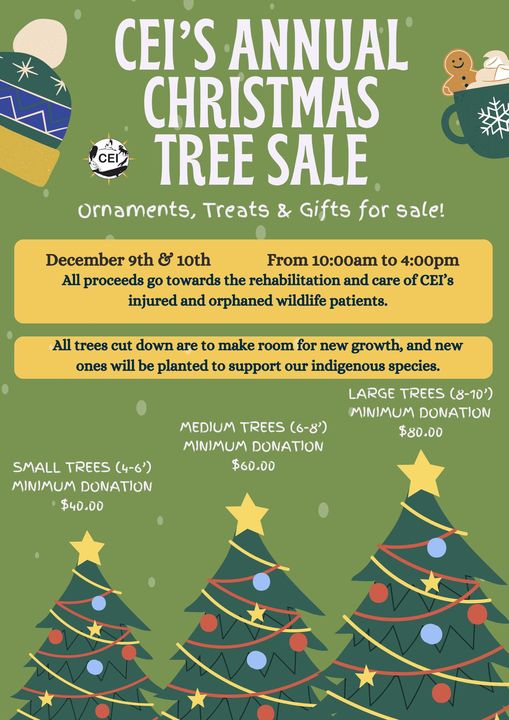 Ecological Institute to hold annual Christmas tree event CochraneNow
